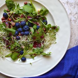 Blueberry Salad