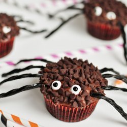 Spider Cupcakes