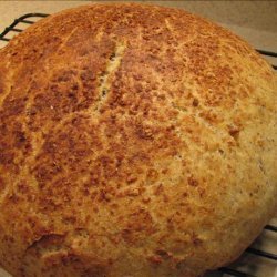 No Knead Sourdough Flax Seed Bread