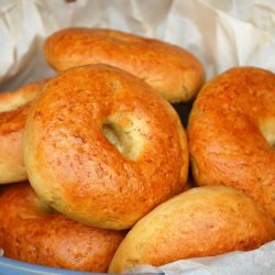 Egg Bagels