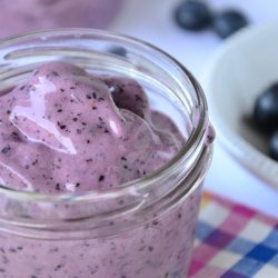 Blueberry Frozen Yogurt