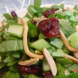 Yummy Bok Choy Salad