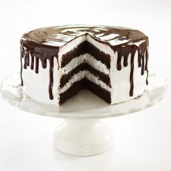 Chocolate Shadow Cake