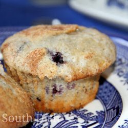 Double Blueberry Muffins