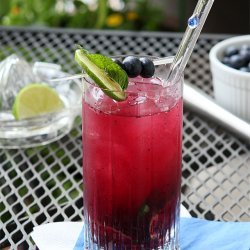 Blueberry Cocktail