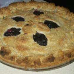 Double Crusted Blueberry Cranberry Pie