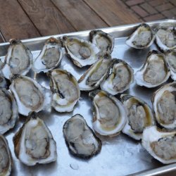 BBQ Oysters