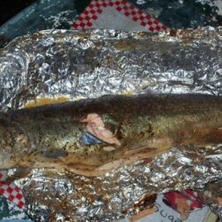 Campfire Whole Rainbow Trout