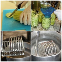 Canning Dill Pickles