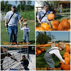 Pumpkin Patch Pie