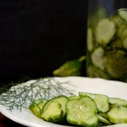 Refrigerator Pickles