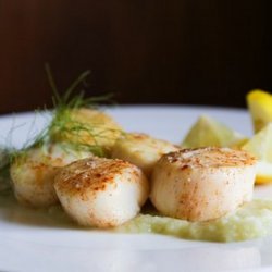 Seared Scallops With Fennel