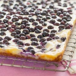 Coconut Blueberry Cheesecake Bars