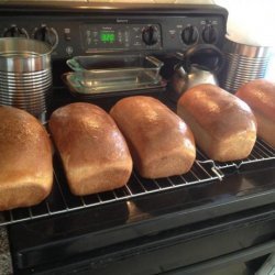 Angela's Amazing Whole Wheat Bread