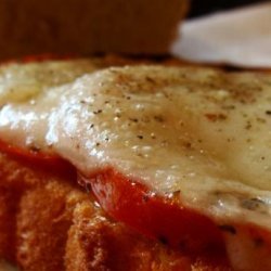 Roasted Tomato and Swiss Cheese Sandwich