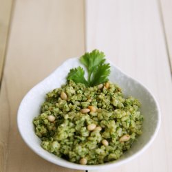 Cilantro Pesto