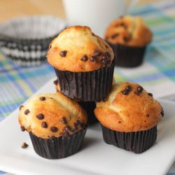 Chocolate Chip Muffins