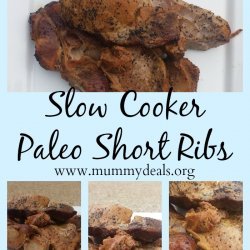 Slow Cooker Short Ribs