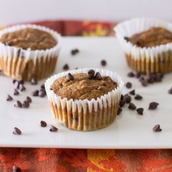 Pumpkin Chocolate Chip Muffins