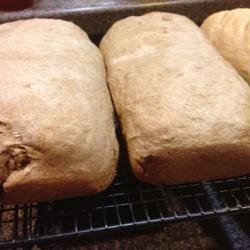 Whole Wheat Bread II