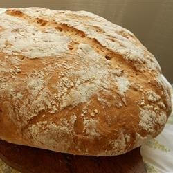 No Knead Beer Bread