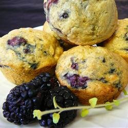 Basic Buttermilk Muffins