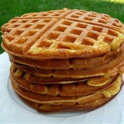 Rich Yogurt Waffles