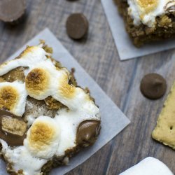 Peanut Butter Cookie S'mores