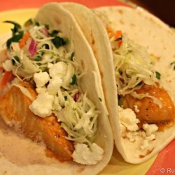 Fish Tacos With Cilantro Chipotle Slaw