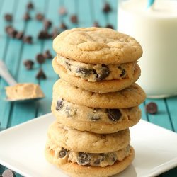 Peanut-Butter Chocolate Sandwich Cookies