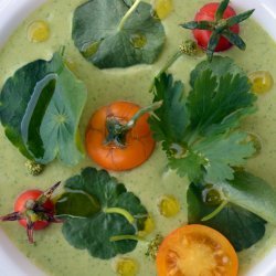 Chilled Avocado and Cucumber Soup