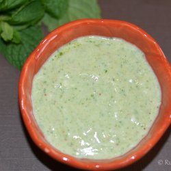 Mint Chutney