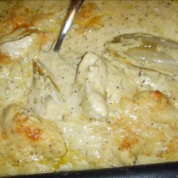 Baked Chicory/Endive With Chicken in a Sage and Mustard Sauce