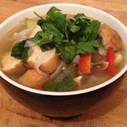 Asian Vegetable Noodle Soup