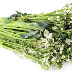 Broccoli Flowers