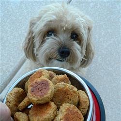 Liver Lickers Dog Treats