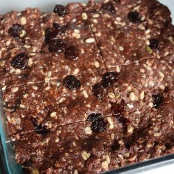 Granola Protein Bars