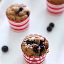 Whole Wheat Blueberry Muffins