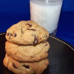 Cranberry, Bittersweet Chocolate Chip Cookies in a Jar Mix