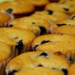 Blueberry Coffee Cake Muffins