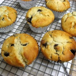 Chocolate Chip Muffins