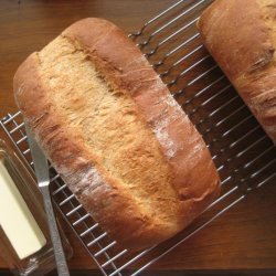 Whole Wheat Bread