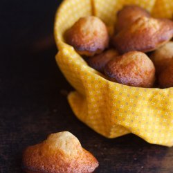 Madeleines