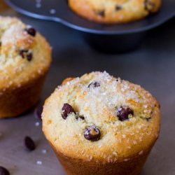 Chocolate Chip Muffins