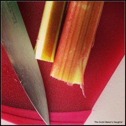 Rhubarb Crumb Cake