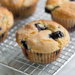 Blueberry Muffins