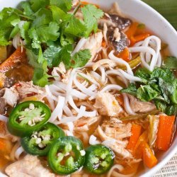 Asian Chicken Noodle Soup