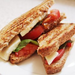 Fresh Mozzarella and Tomato Paninis