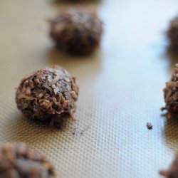 Chocolate Coconut Macaroons