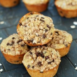 Chocolate Chip Oatmeal Muffins